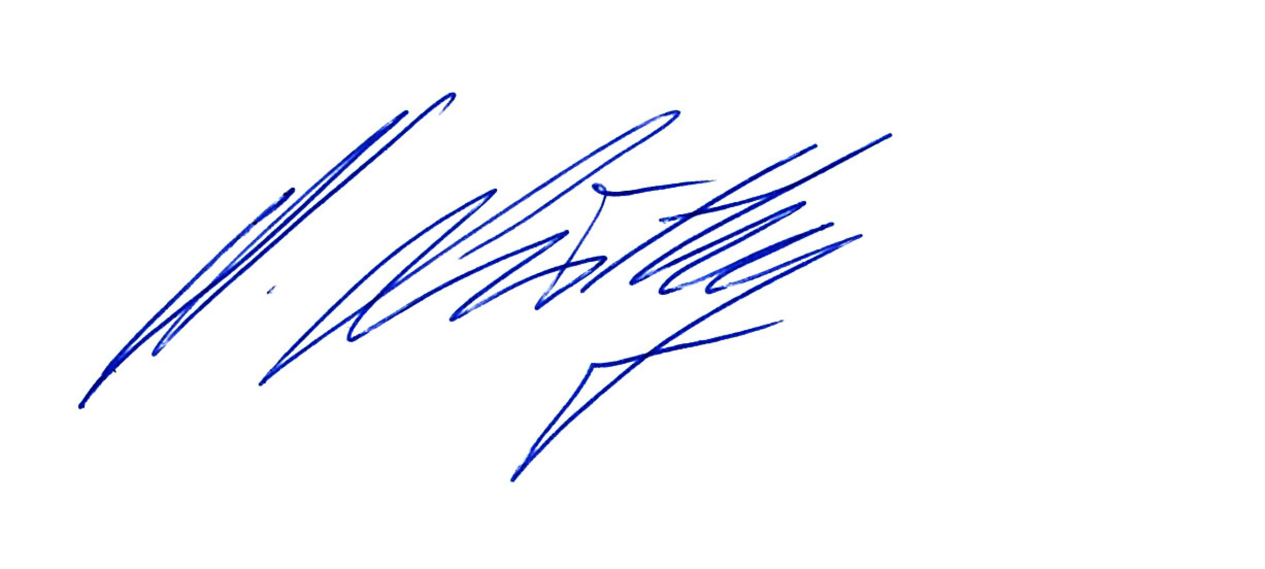 <p>Nicole L&uuml;thy</p>