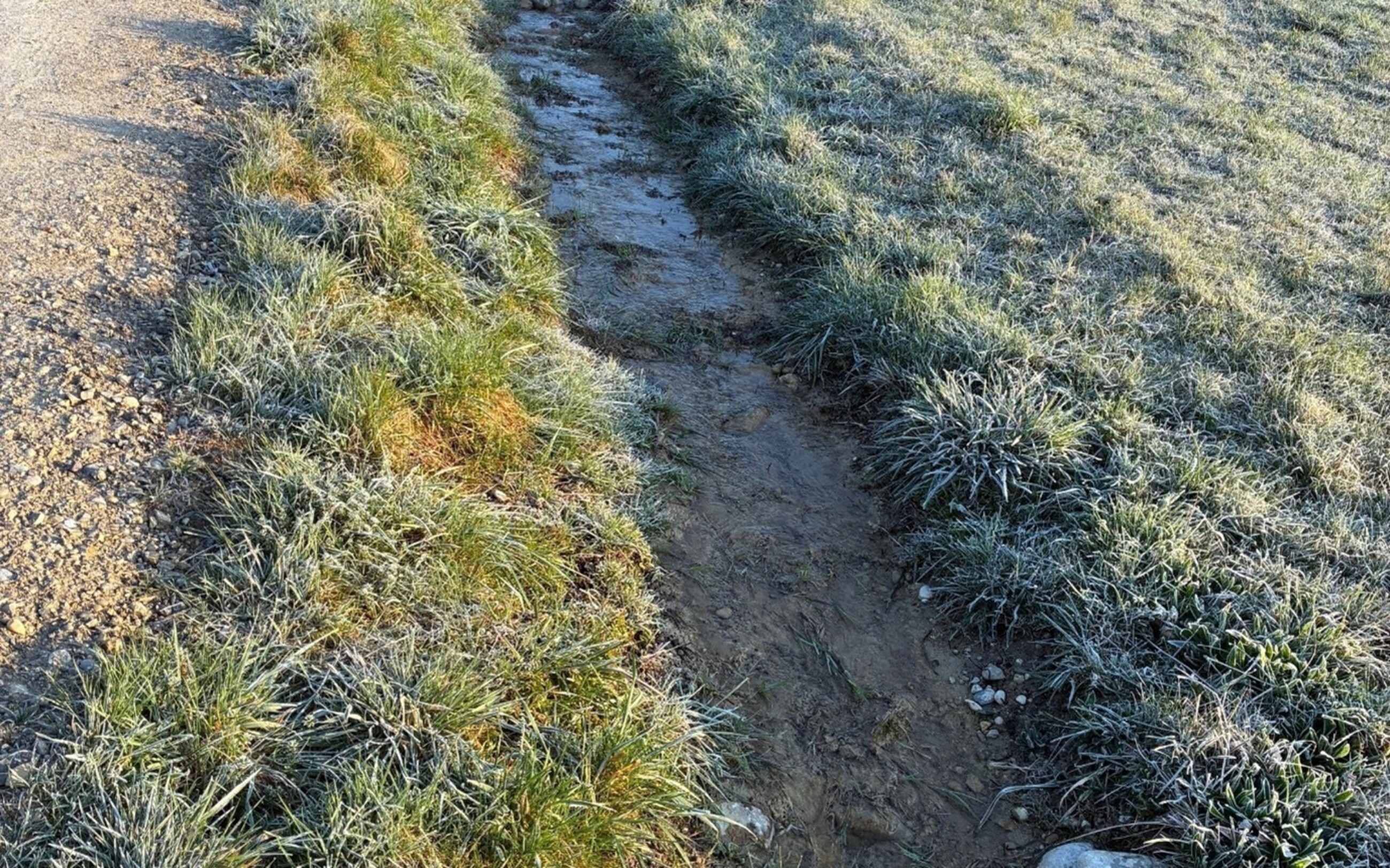 <p>Sandbach, Eschlikon</p>